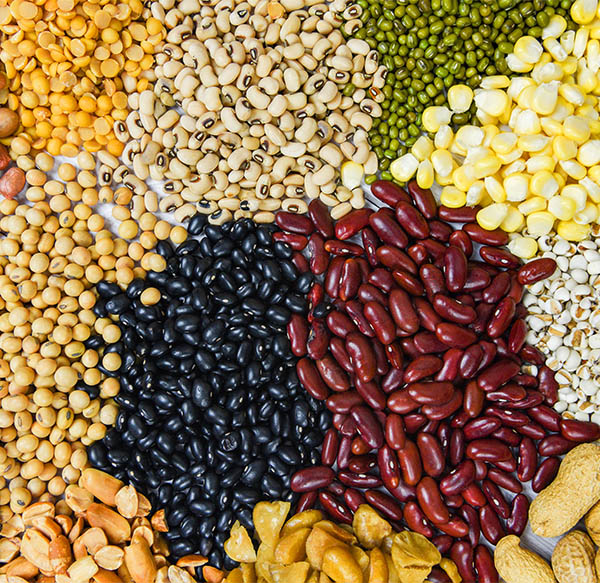 Mangimi per animali da allevamento: bovini, ovini, suini, avicoli, conigli, cavalli, animali da cortile, animali da reddito – assortimento completo nel punto vendita D'Onofrio Cereali